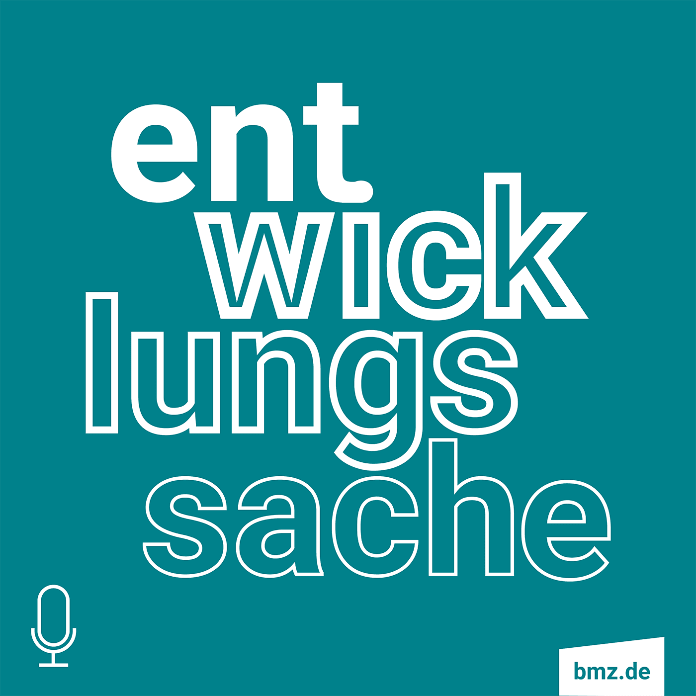 Entwicklungssache - Podcasts