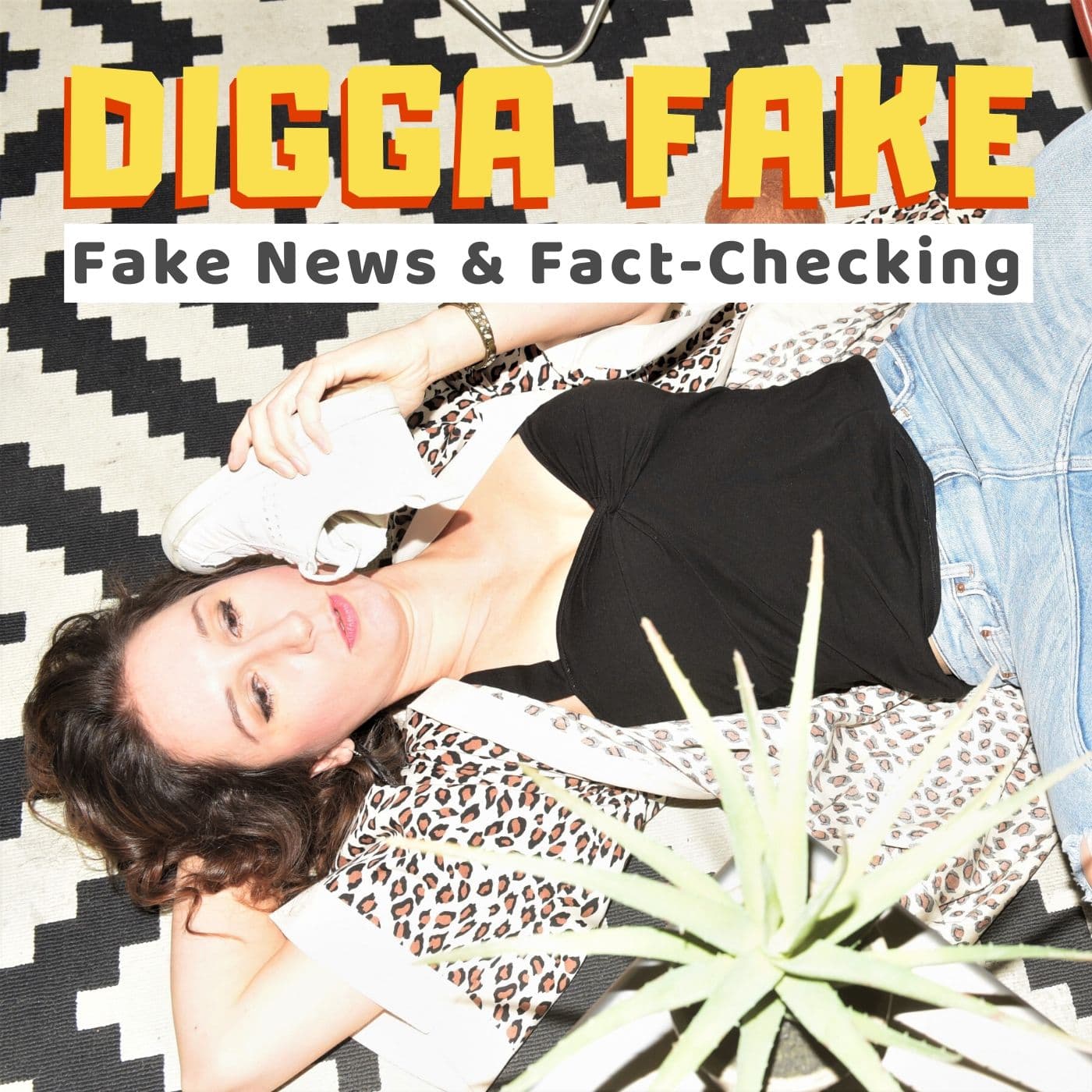 Digga Fake — Fake News & Fact-Checking - Podcasts