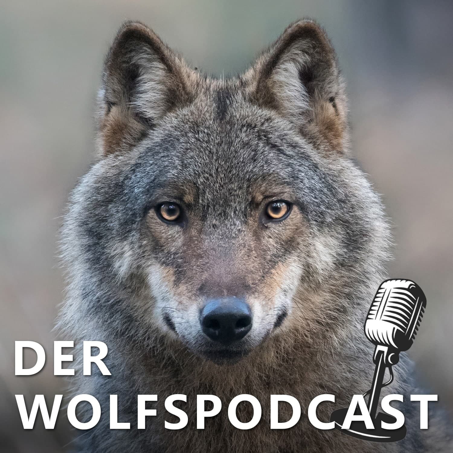 Der Wolfspodcast - Podcasts