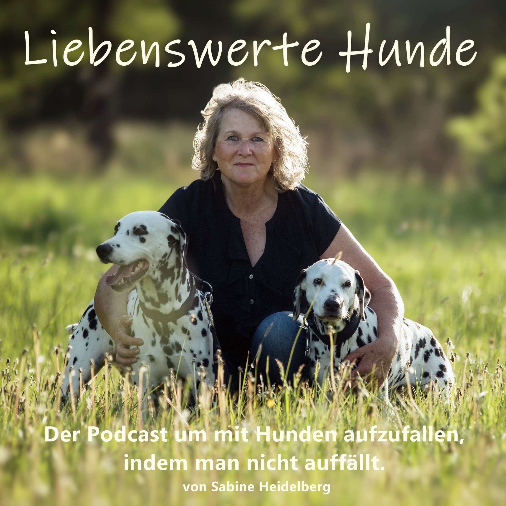 Liebenswerte Hunde - Mit Hunden auffallen, indem man nicht auffällt. - Podcasts