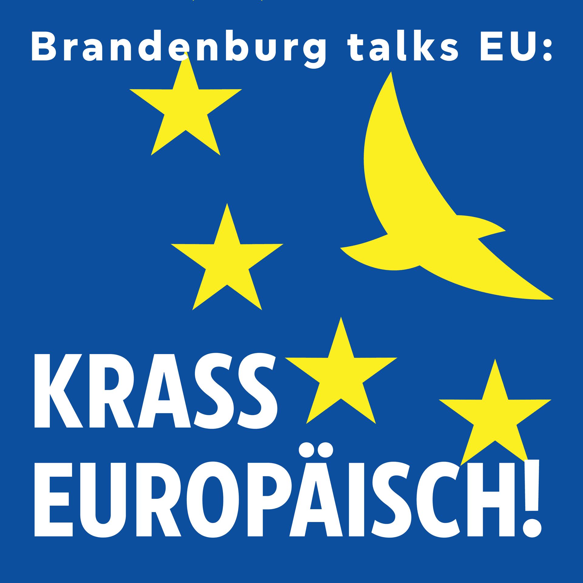 Brandenburg talks EU: Krass europäisch - Podcasts