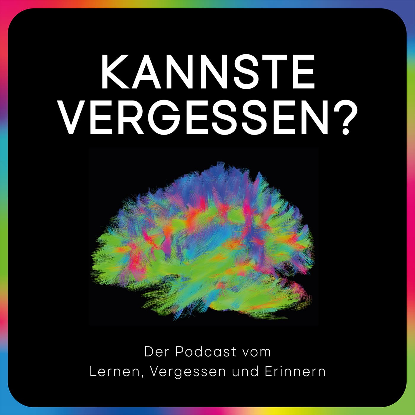 Kannste Vergessen? – Der Podcast vom Lernen, Vergessen und Erinnern - Podcasts