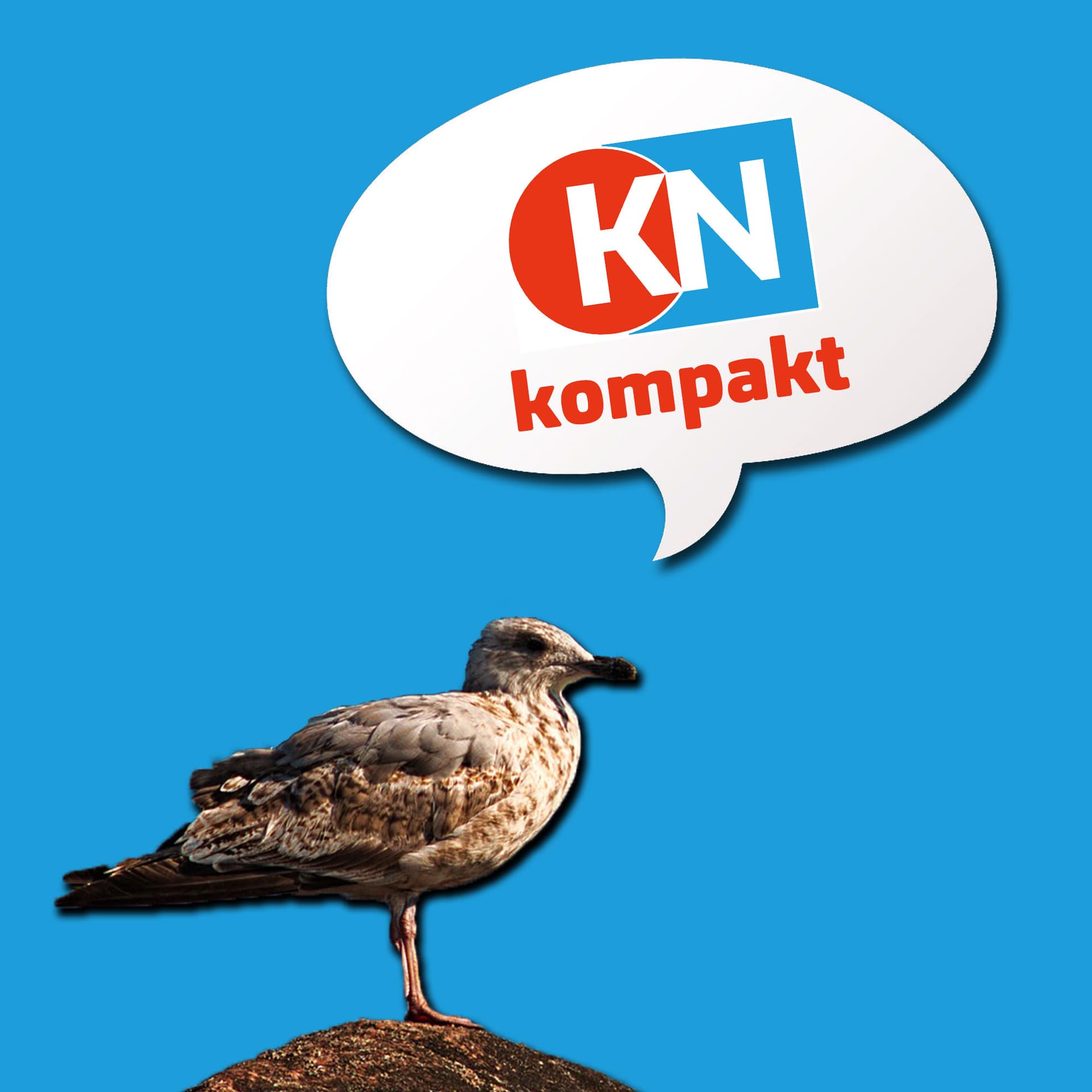 KN kompakt - Podcasts