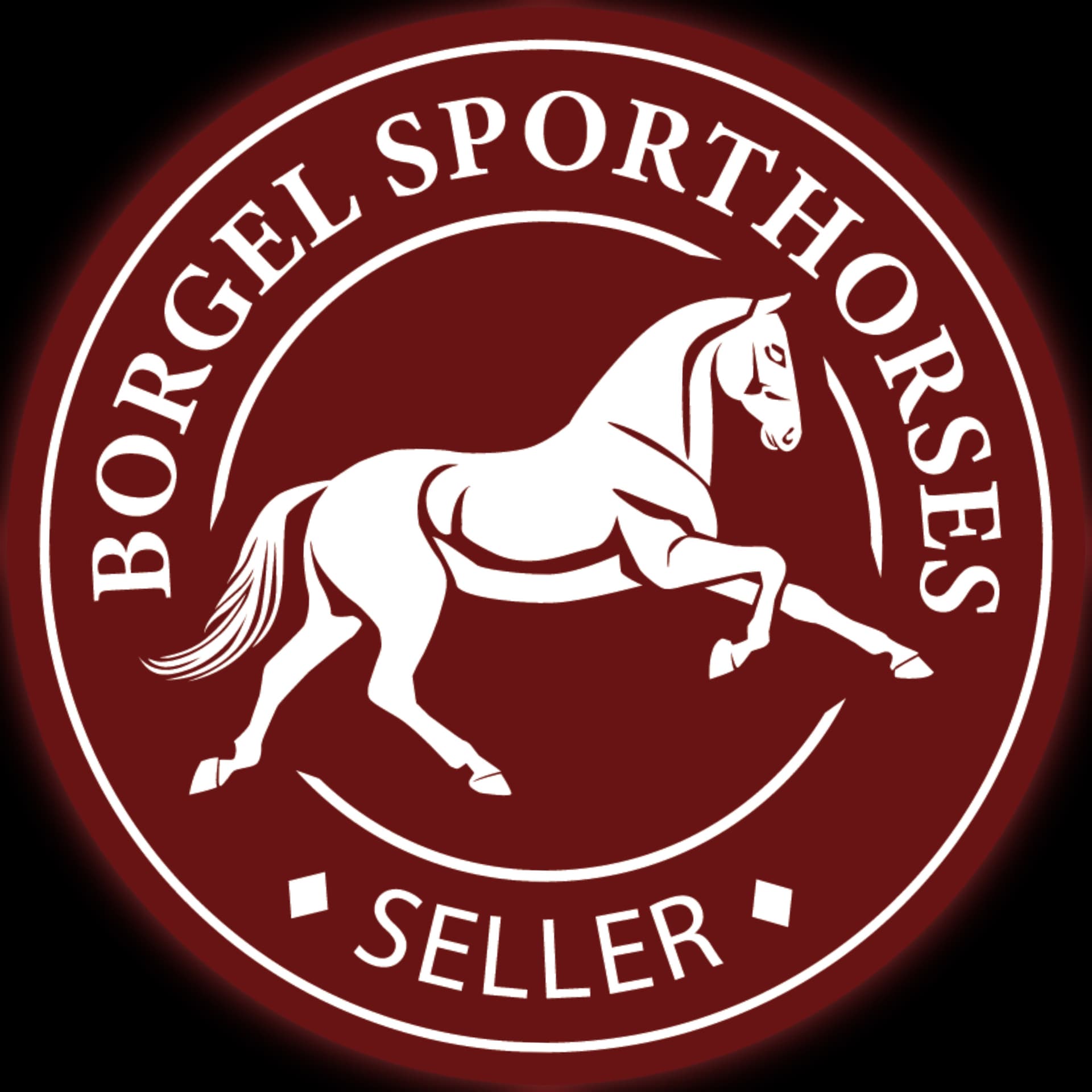 Gepflegter Reitsport