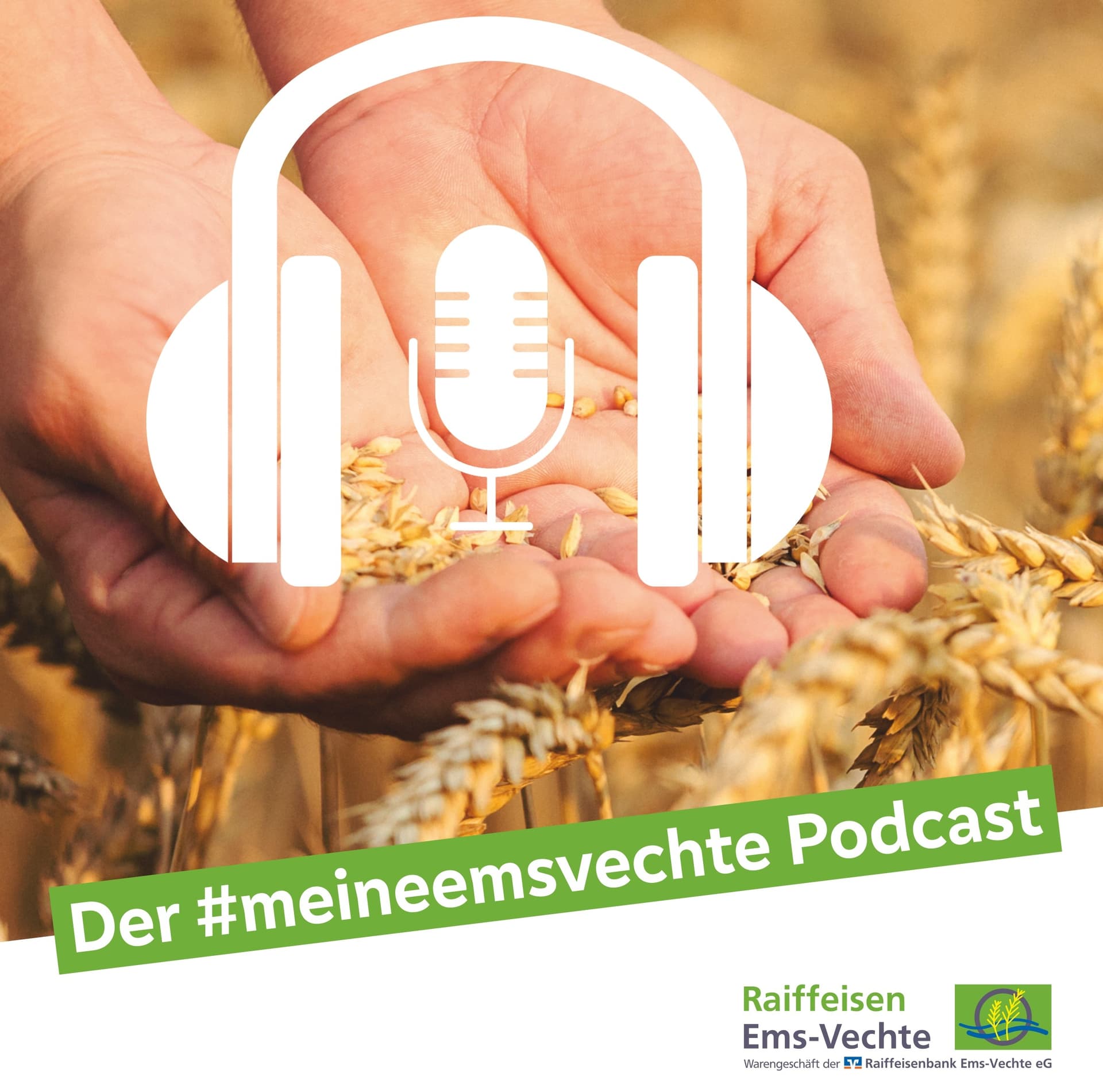 Der #meineemsvechte Podcast - Podcasts