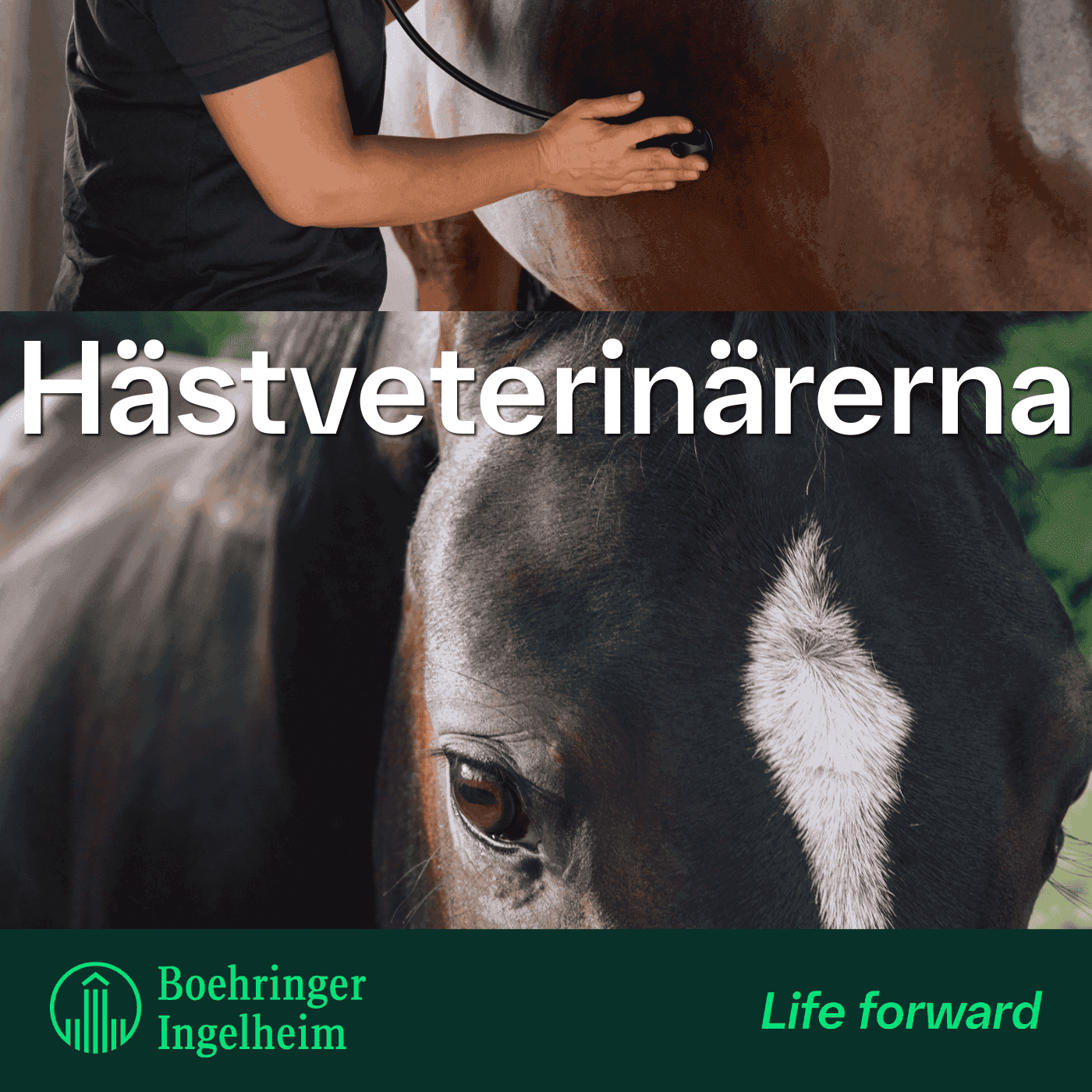Hästveterinärerna - Podcasts