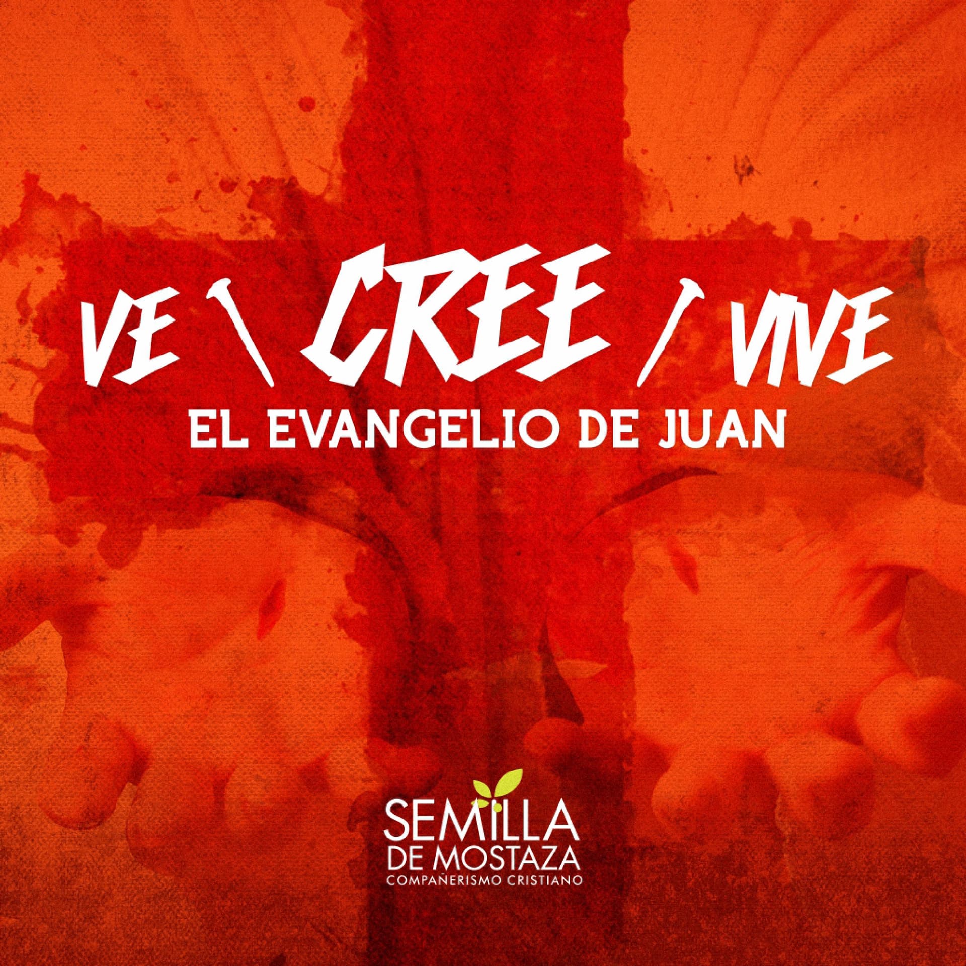 Evangelio de Juan - Podcasts