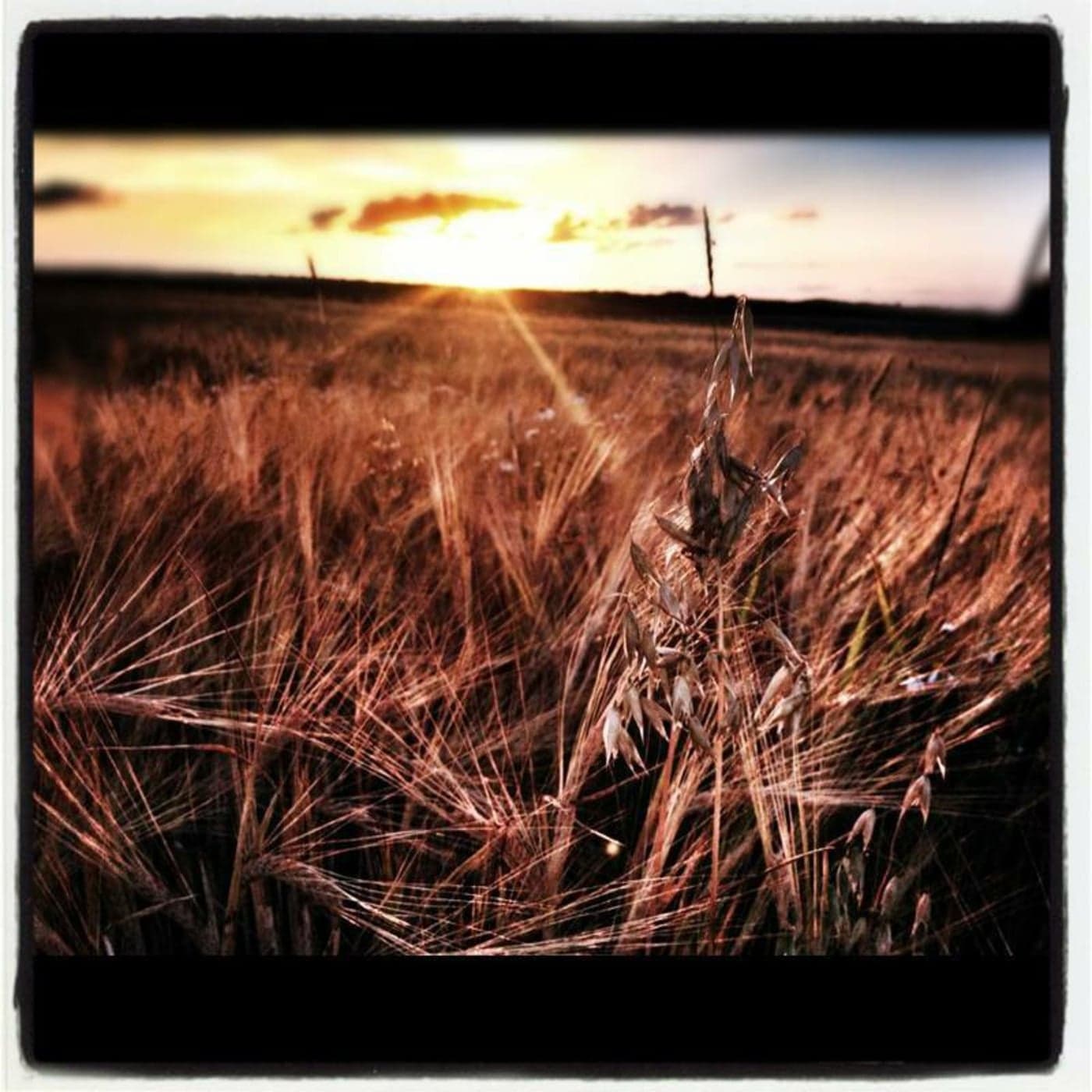 Platitude - Podcasts