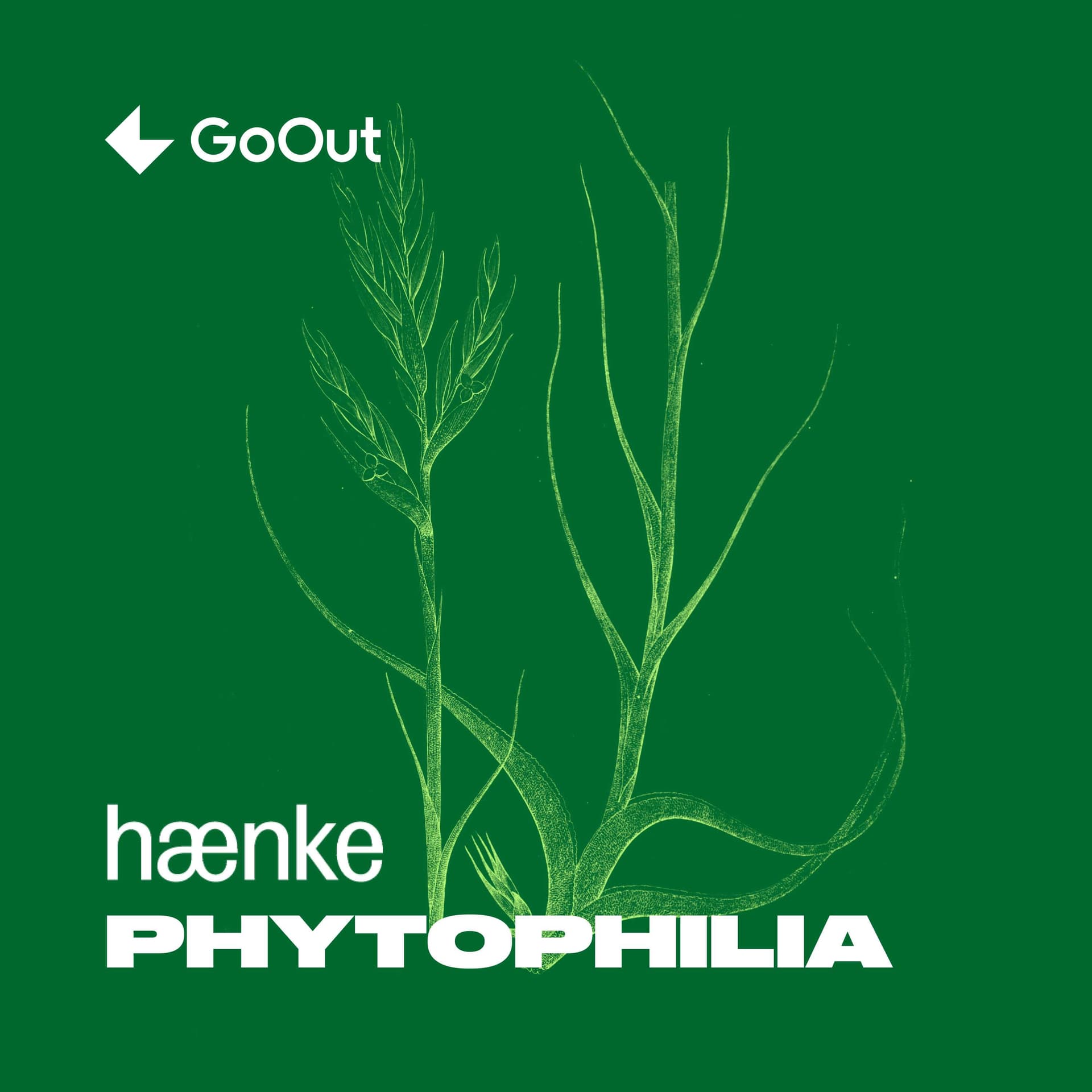 Phytophilia - Podcasts