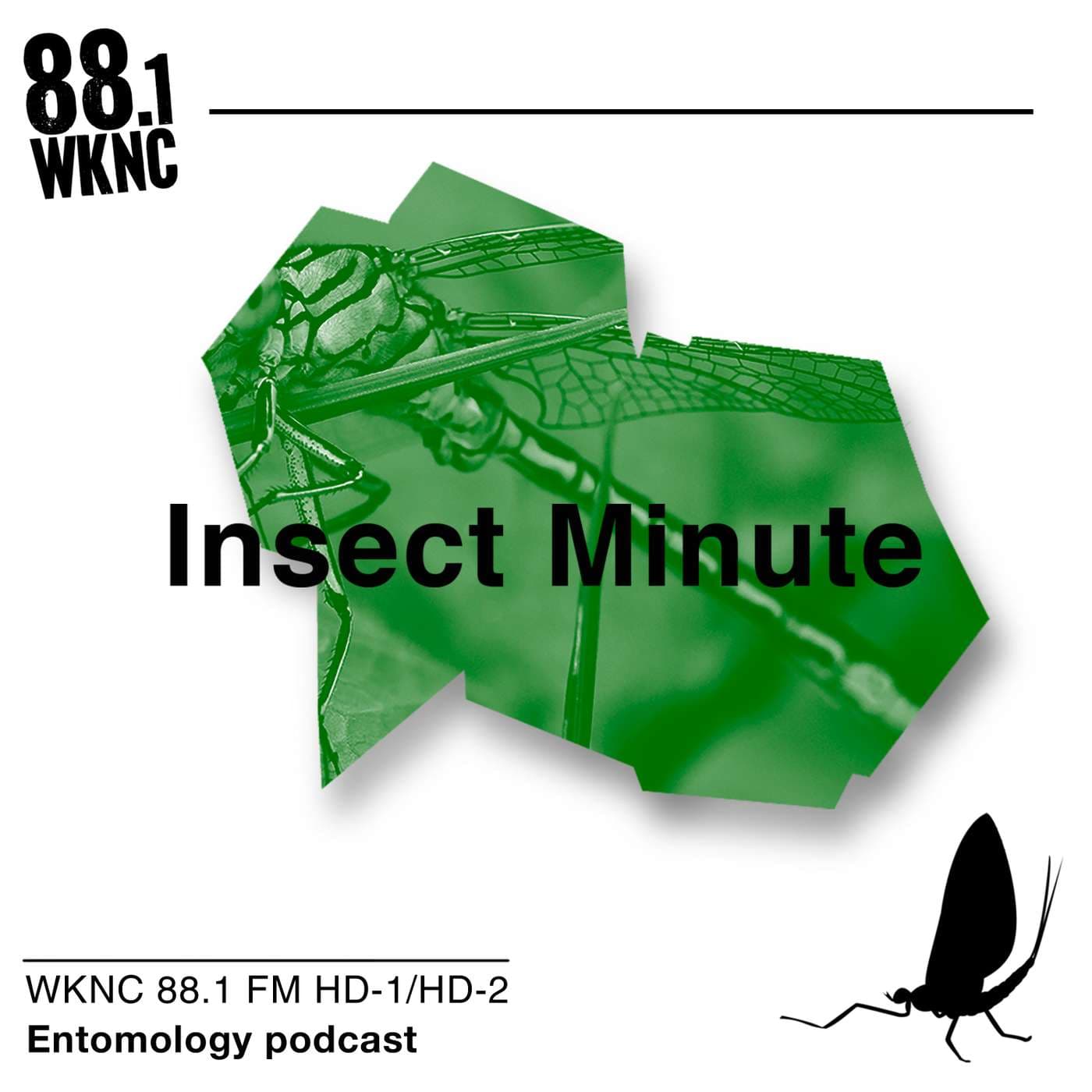 Insect Minute - Podcasts