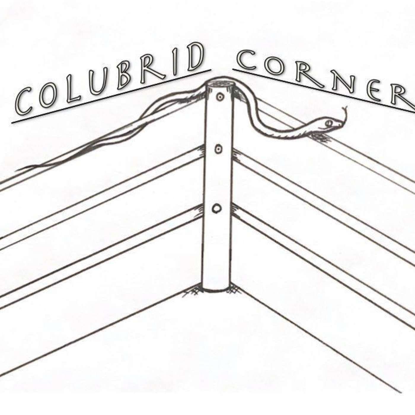 Colubrid Corner - Podcasts