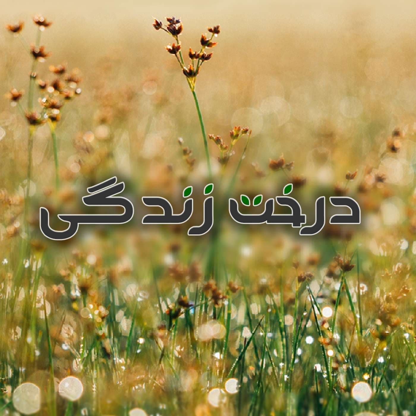 Derakhte Zendegi | پادکست درخت زندگی - Podcasts