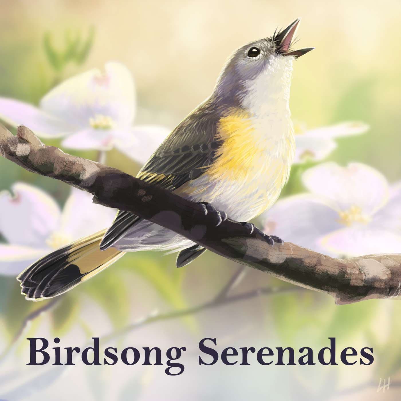 Birdsong Serenades - Podcasts