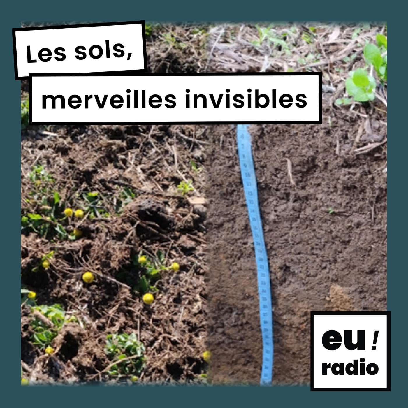 Les sols, merveilles invisibles - Podcasts
