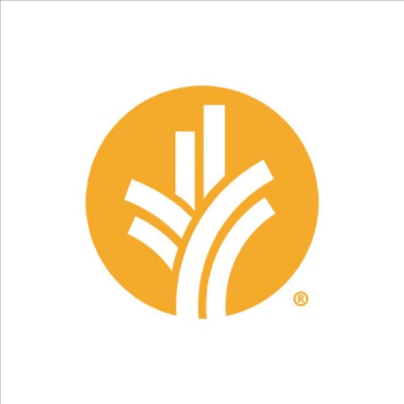 Notre Pain Quotidien podcast - Podcasts