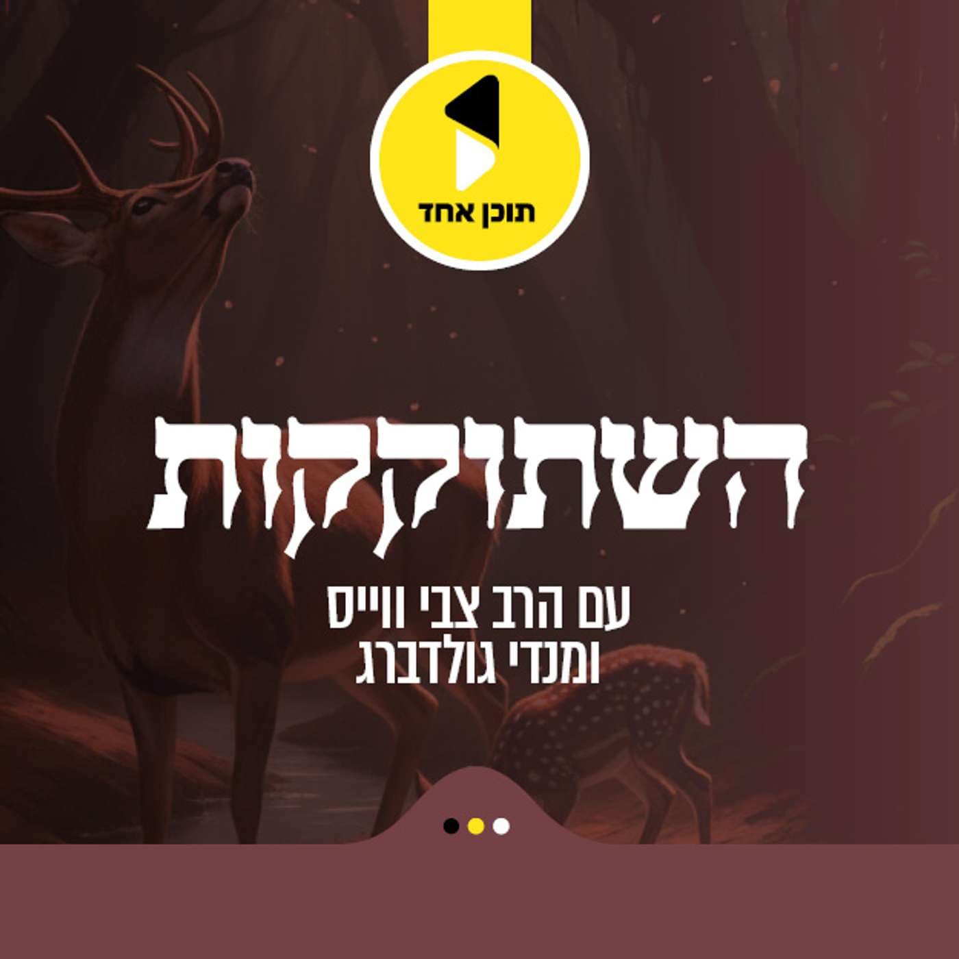 השתוקקות | עם צבי וויס ומנדי גודלברג - מבית תוכן אחד - Podcasts