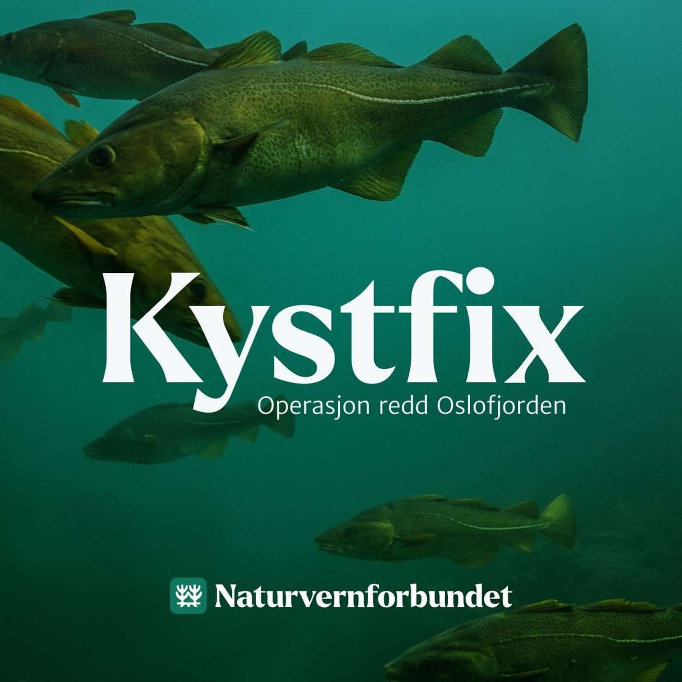 Kystfix - Podcasts