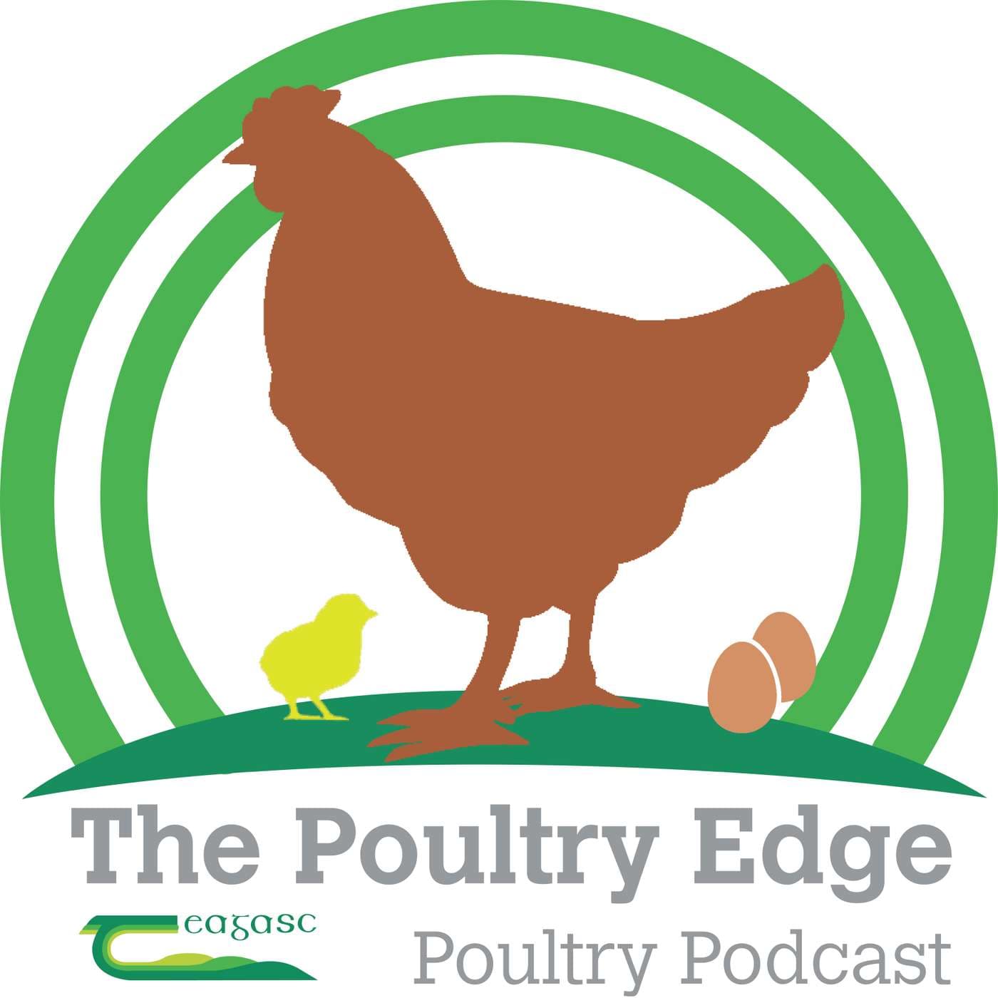 The Poultry Edge - Podcasts