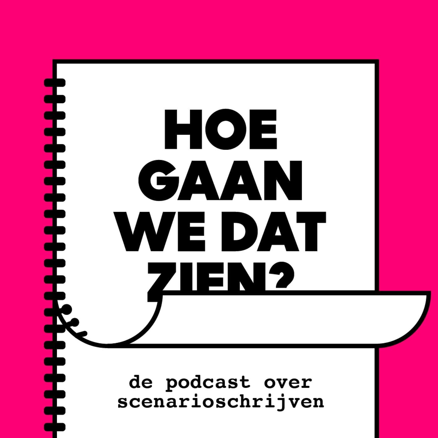 Hoe Gaan We Dat Zien? - Podcasts