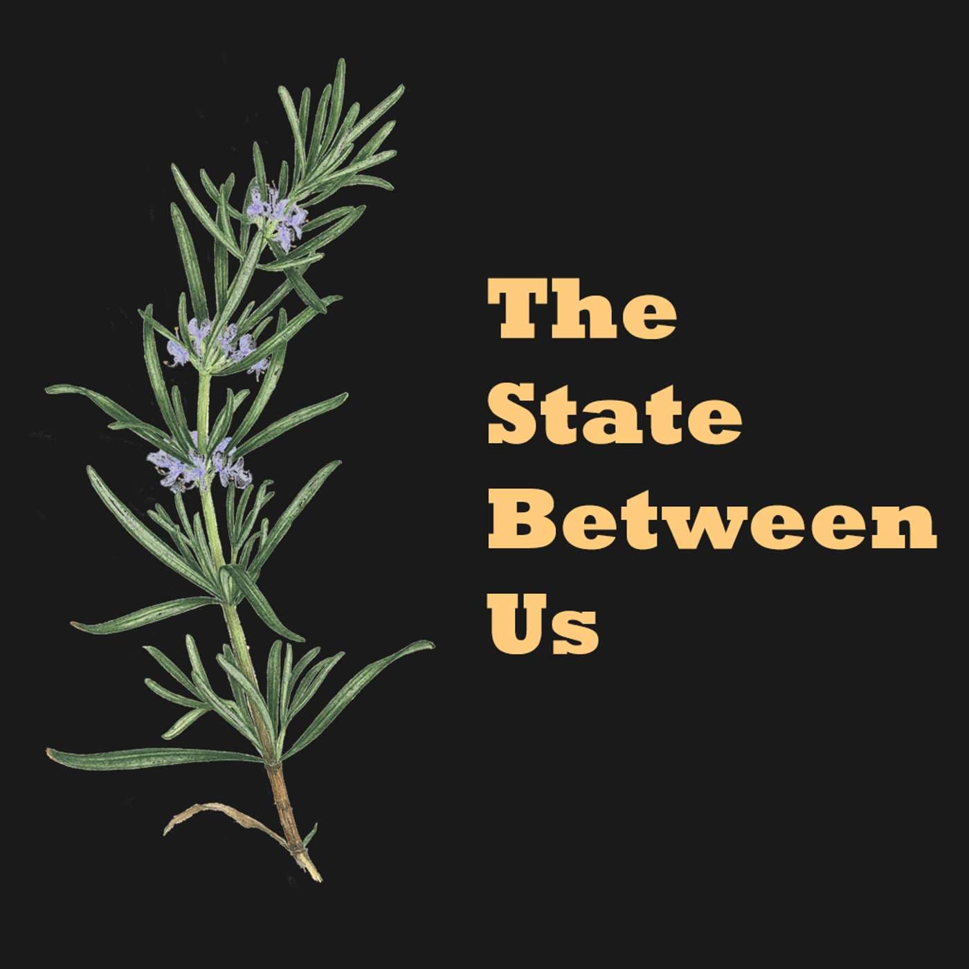 The State Between Us - Podcasts