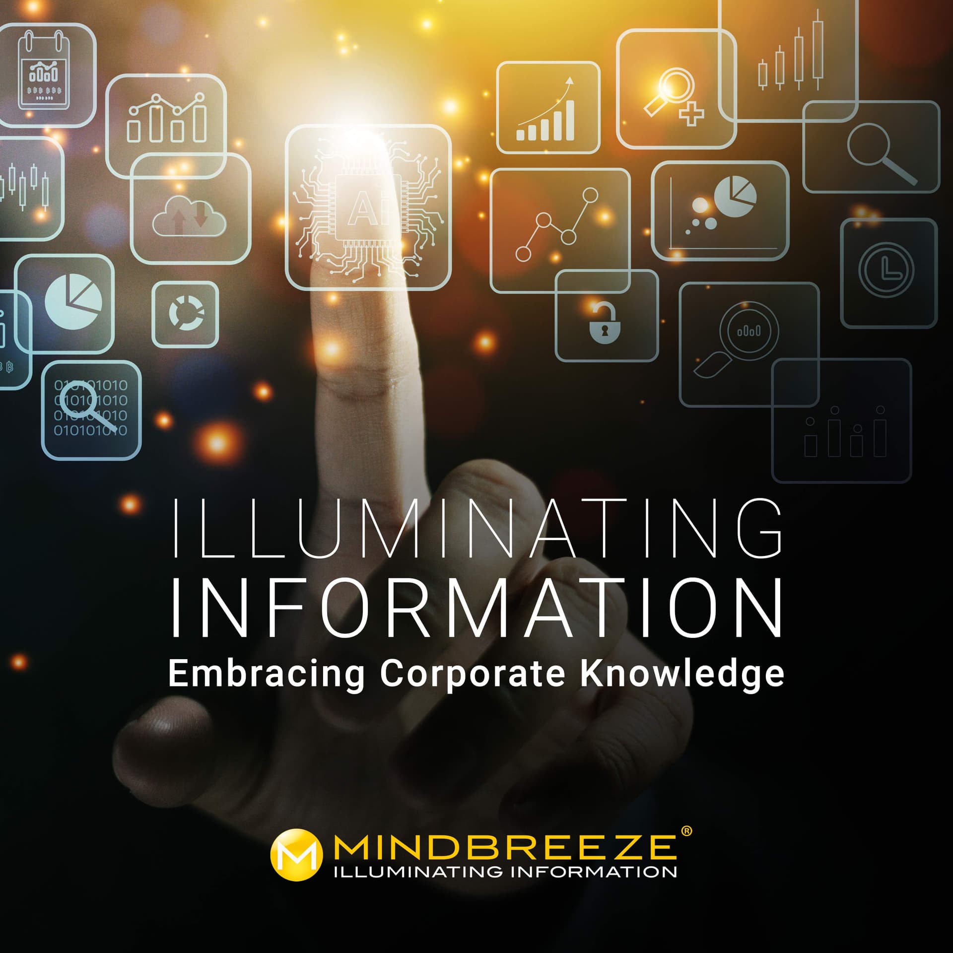Illuminating Information - Embracing Corporate Knowledge