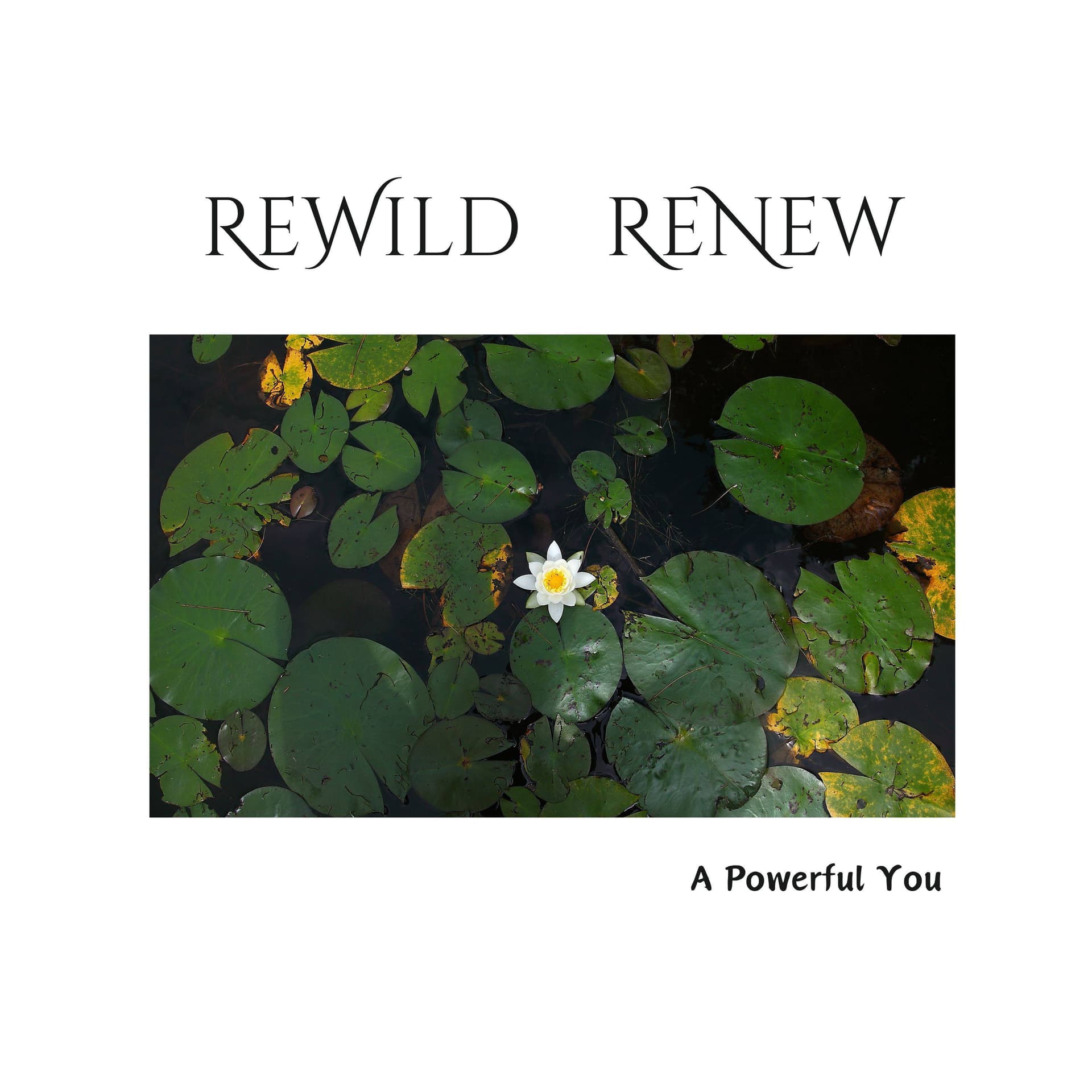 ReWild ReNew Podcast - Podcasts