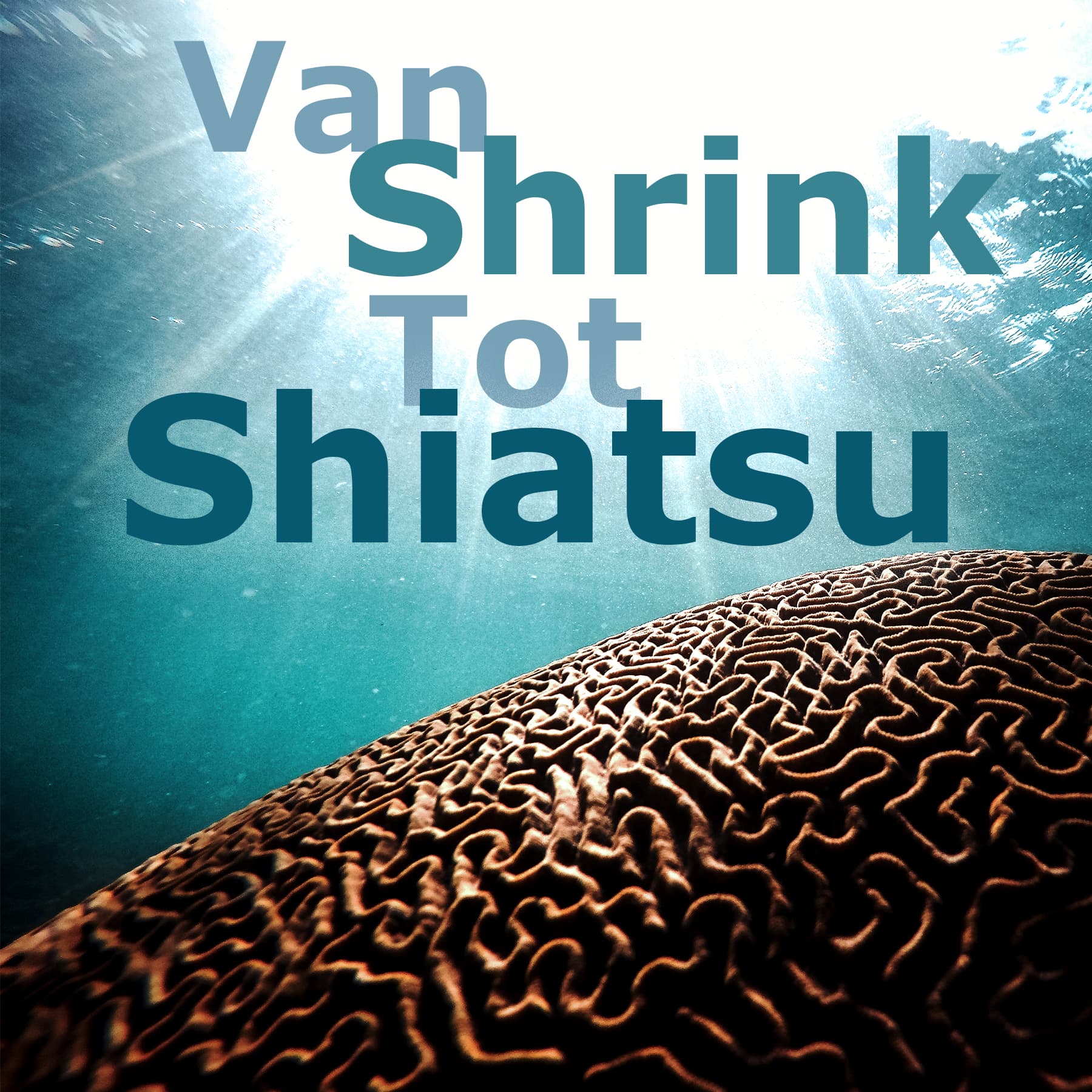 Van Shrink Tot Shiatsu - Podcasts