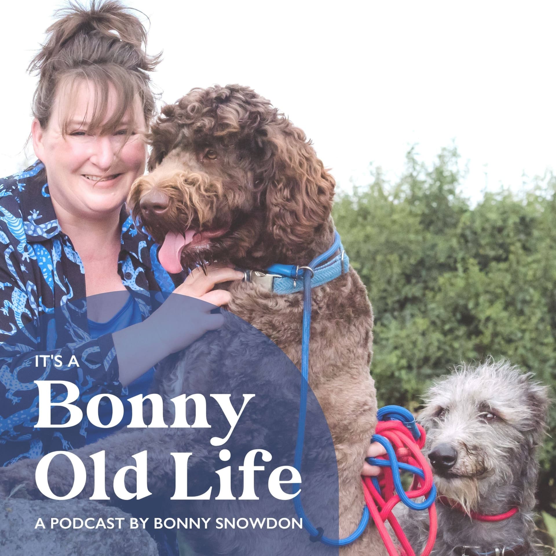 It's A Bonny Old Life - Podcasts