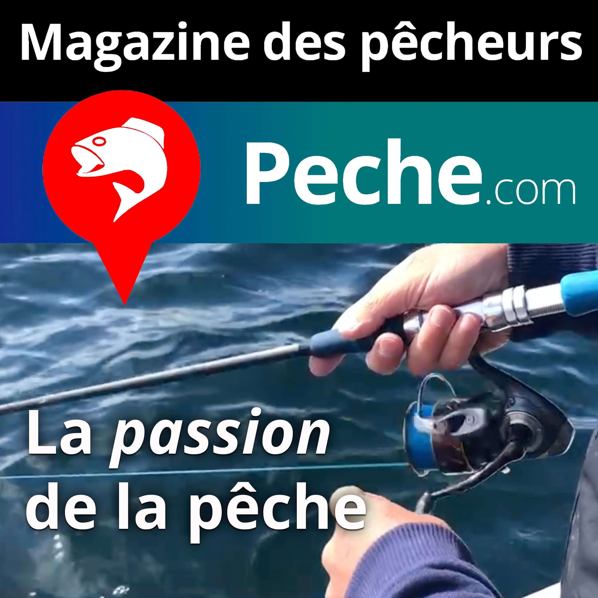 Tout Peche.com - Podcasts