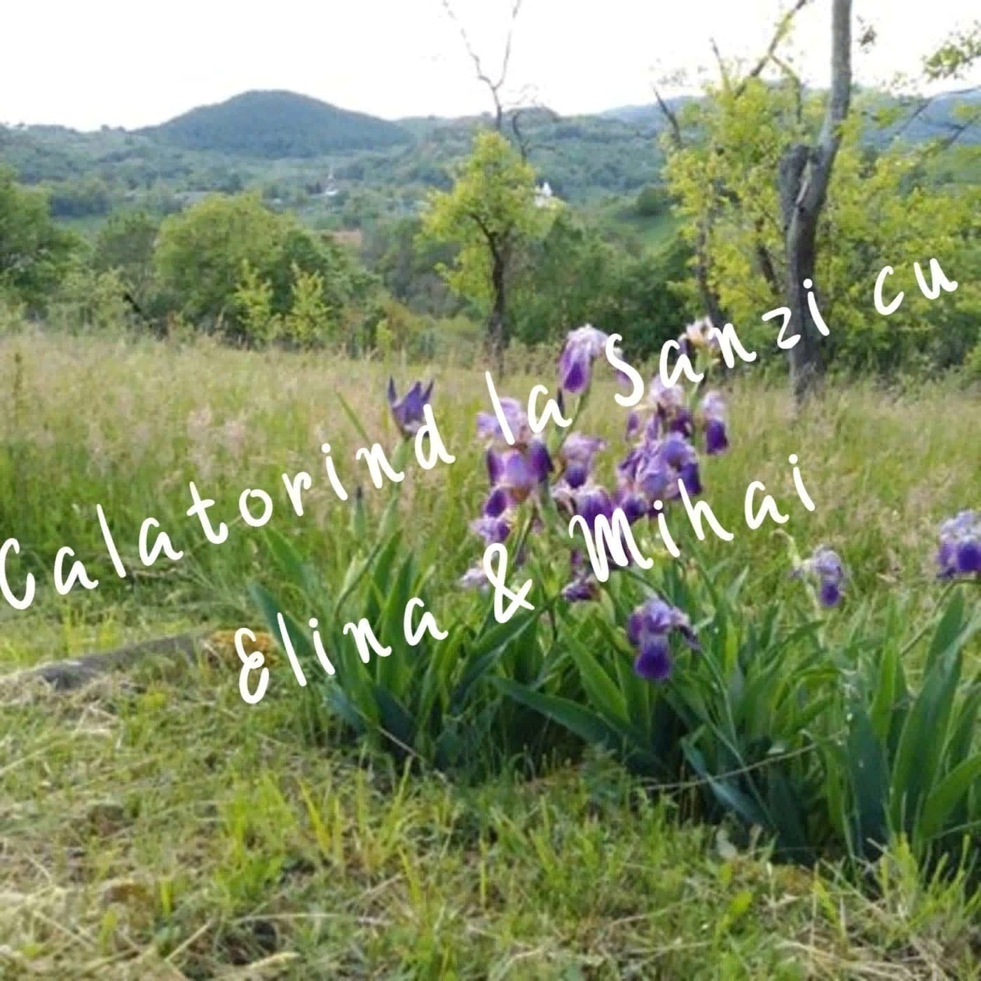 Călătorind la Sânzi - Podcasts