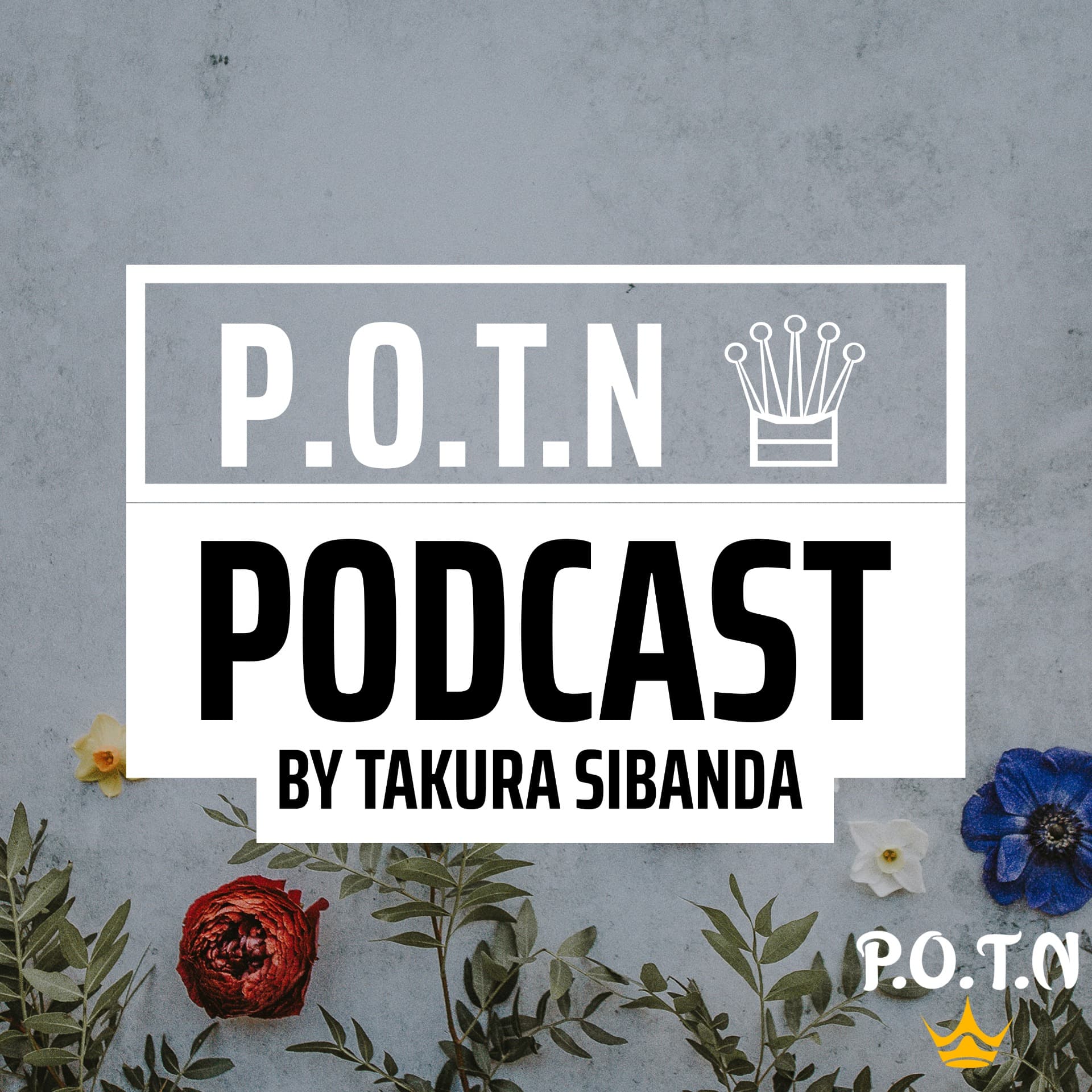 Prince Of The North๐ (P.O.T.N๐) Podcast - Podcasts