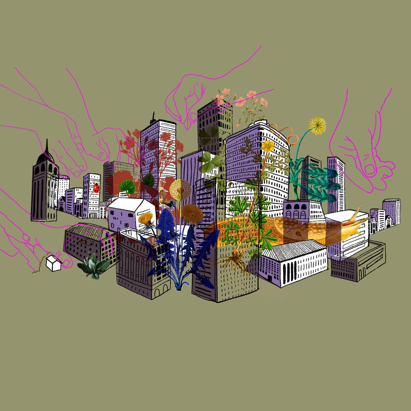 Conectando territorios/ Territorien vernetzen - Podcasts