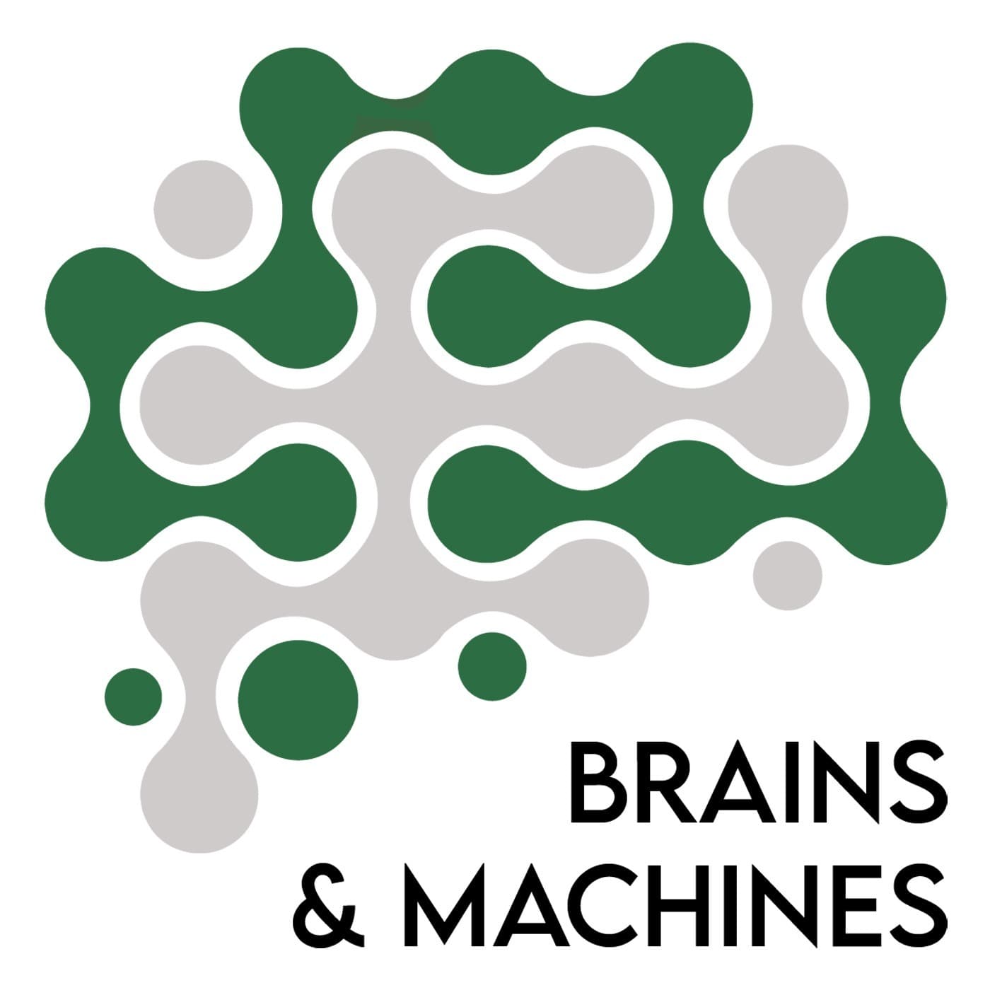 Brains and Machines - Podcasts