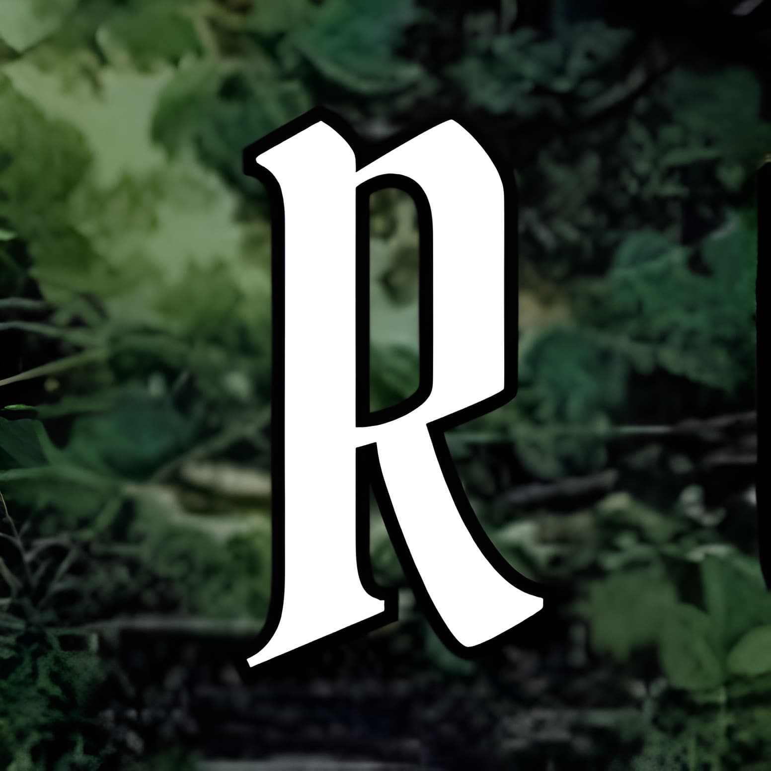 REBELITERATURE PODCAST - Podcasts