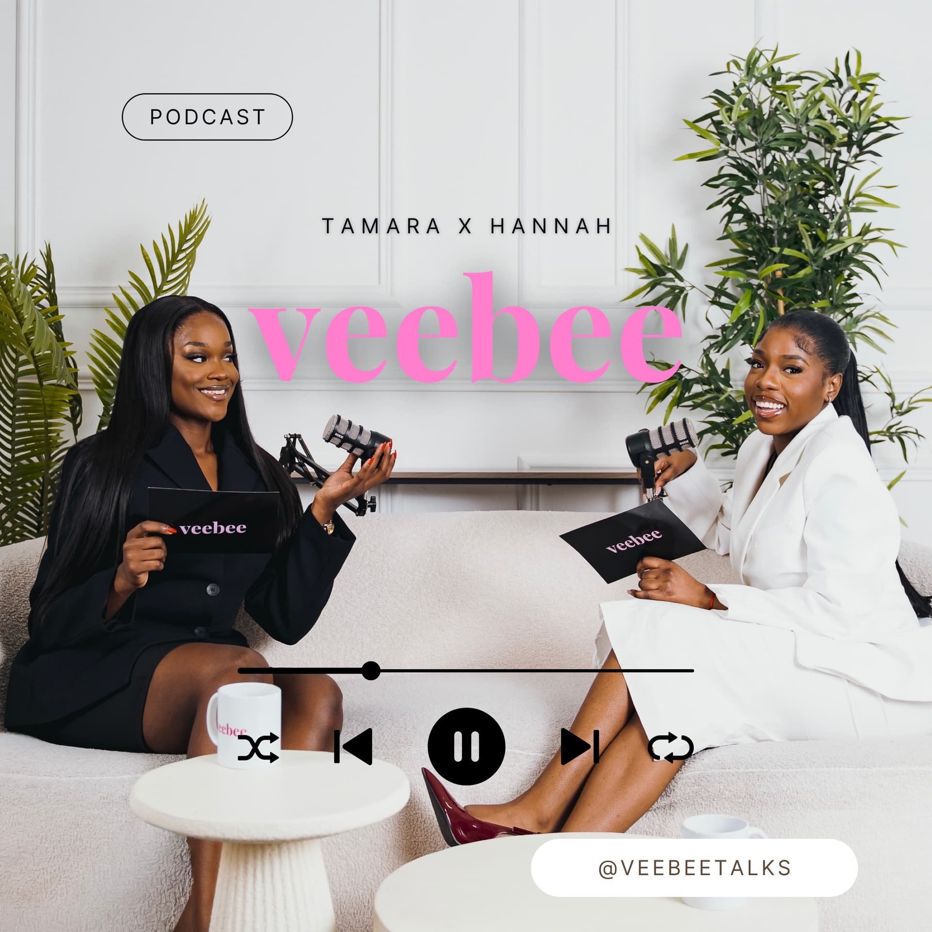 VeebeeTalks - Podcasts