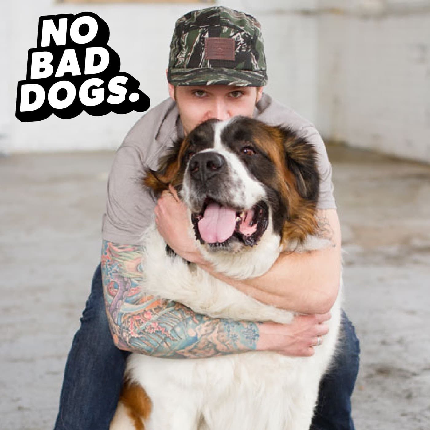 No Bad Dogs Podcast - Podcasts