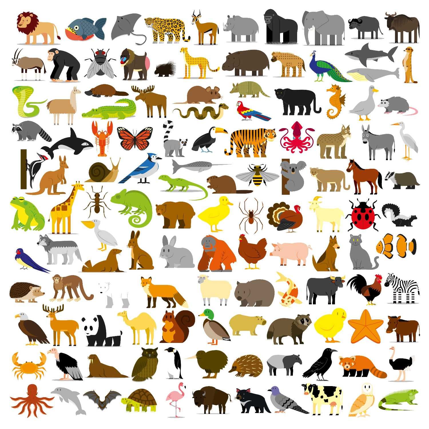 Enciclopedia Zimitot - Animale - Podcasts