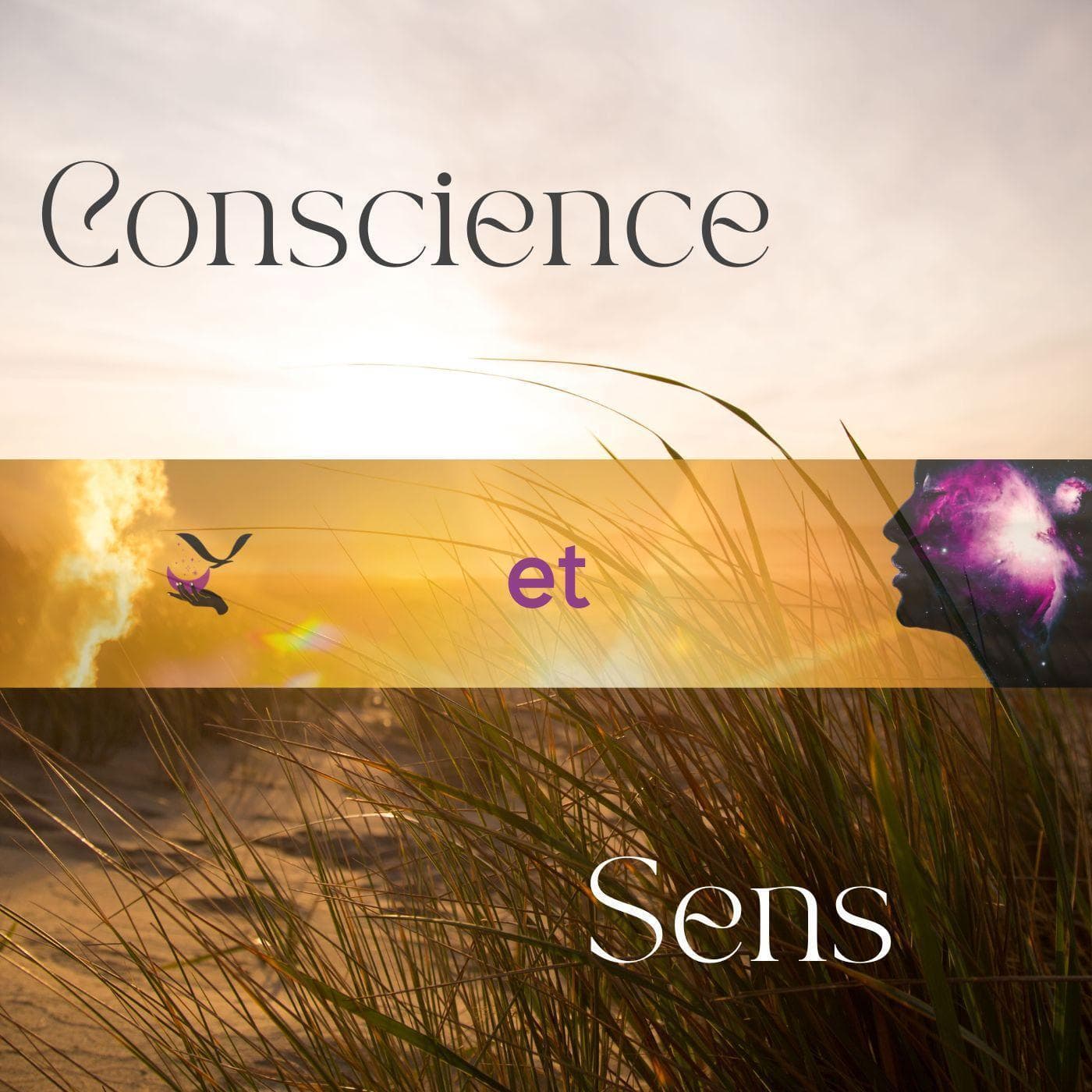 Conscience et Sens - Podcasts
