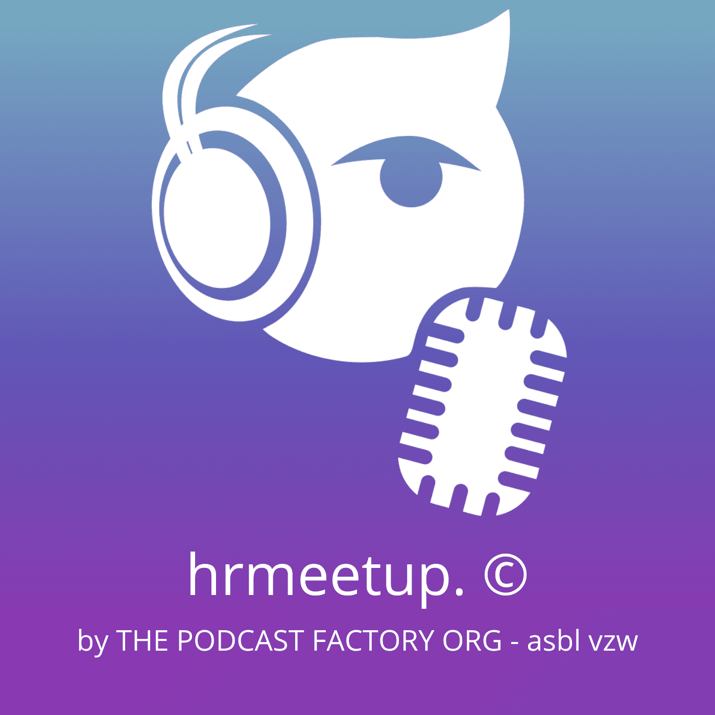 hrmeetup. © - The Podcast Factory Org (ASBL-VZW-NPO) - Podcasts