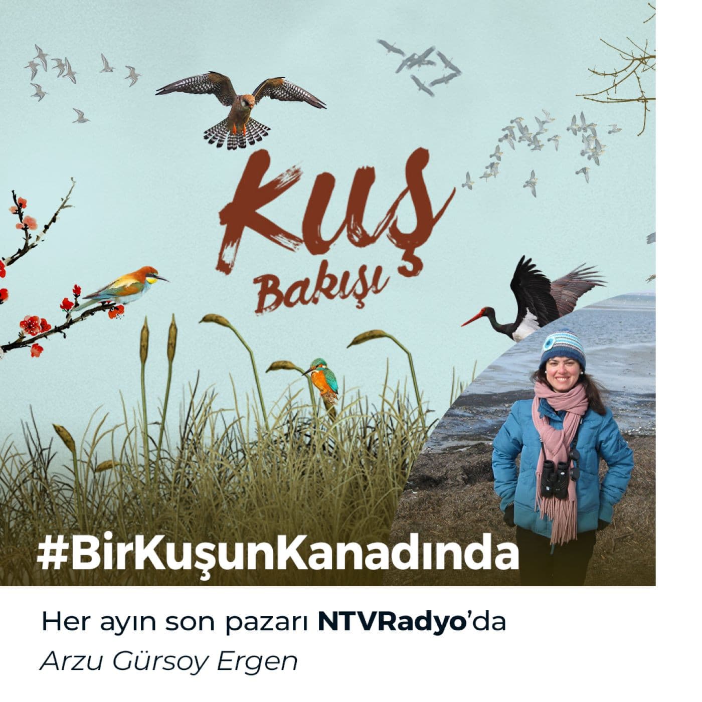 Kuş Bakışı - Podcasts