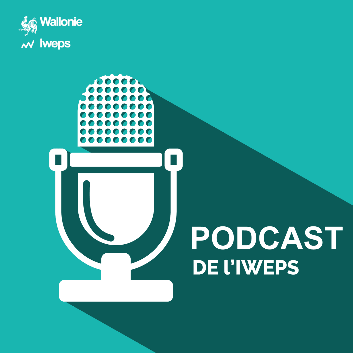 Le podcast de l'IWEPS - Podcasts