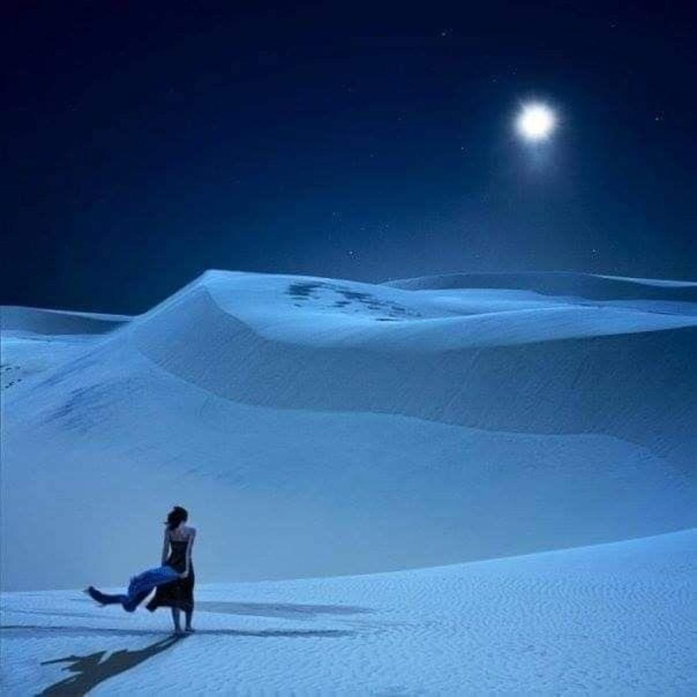 Les grands solitaires