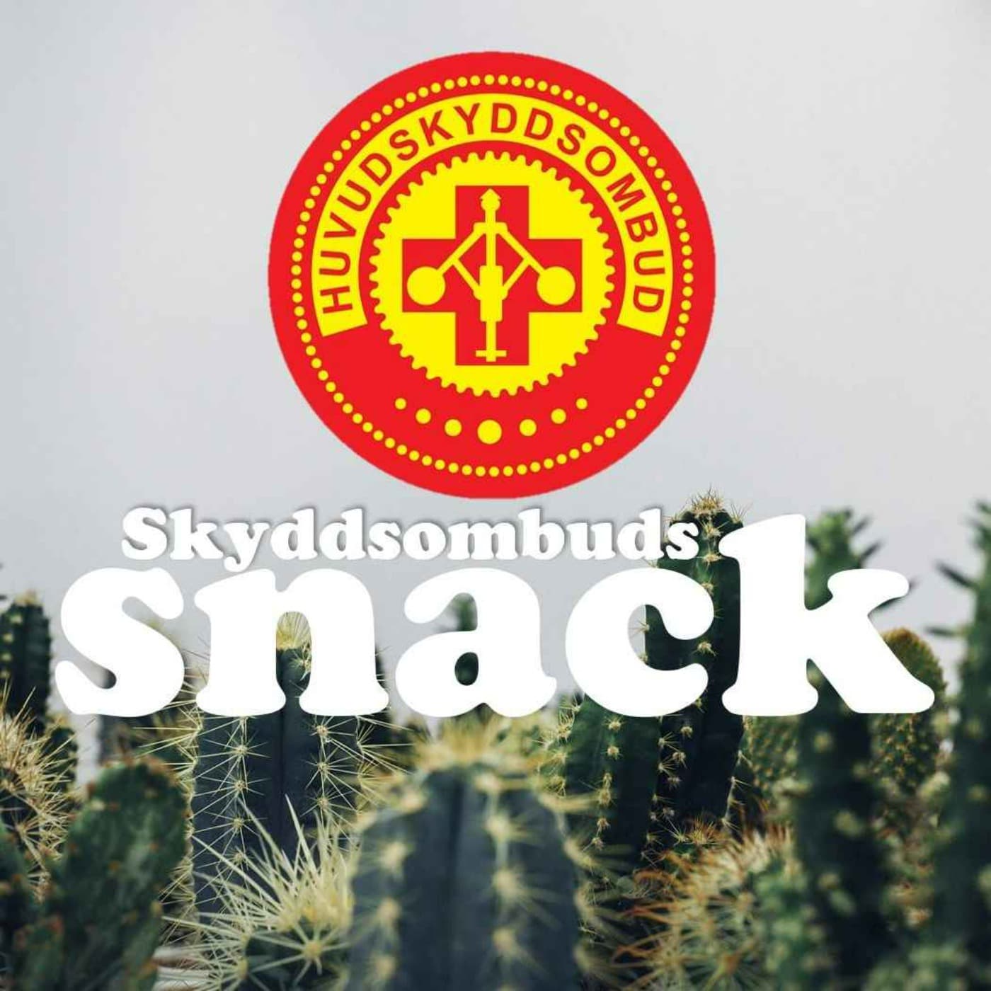 Skyddsombudssnack med arbetsmiljö som uppdrag - Podcasts