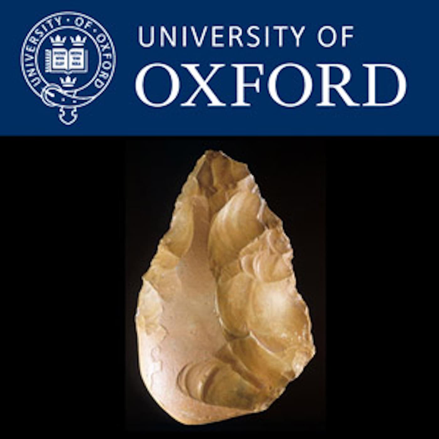New Thinking: Advances in the Study of Human Cognitive Evolution - Podcasts