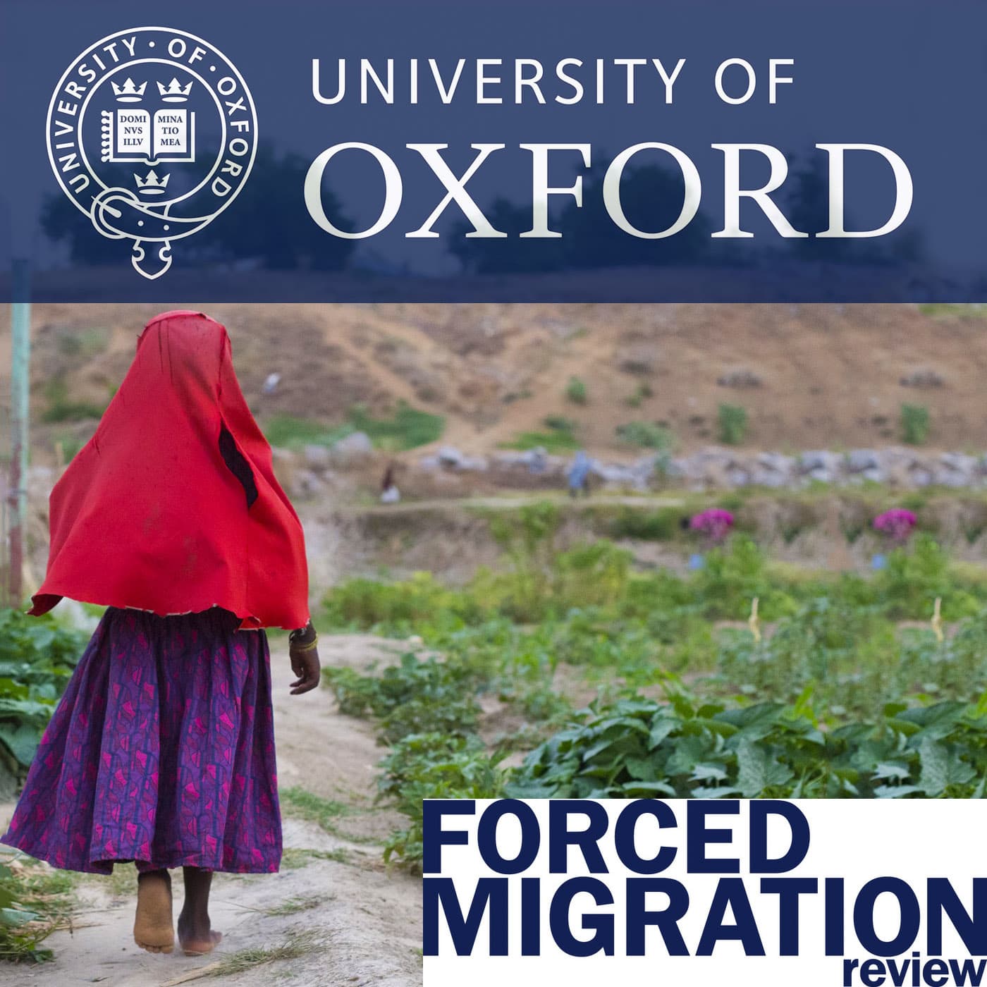 Twenty Years of the Guiding Principles on Internal Displacement (Forced Migration Review 59) - Podcasts