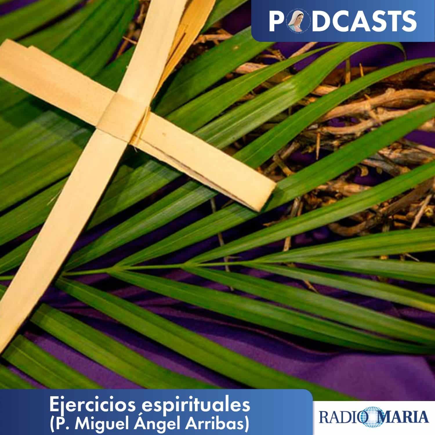 Ejercicios espirituales 2026 (P. Miguel Ángel Arribas) - Podcasts