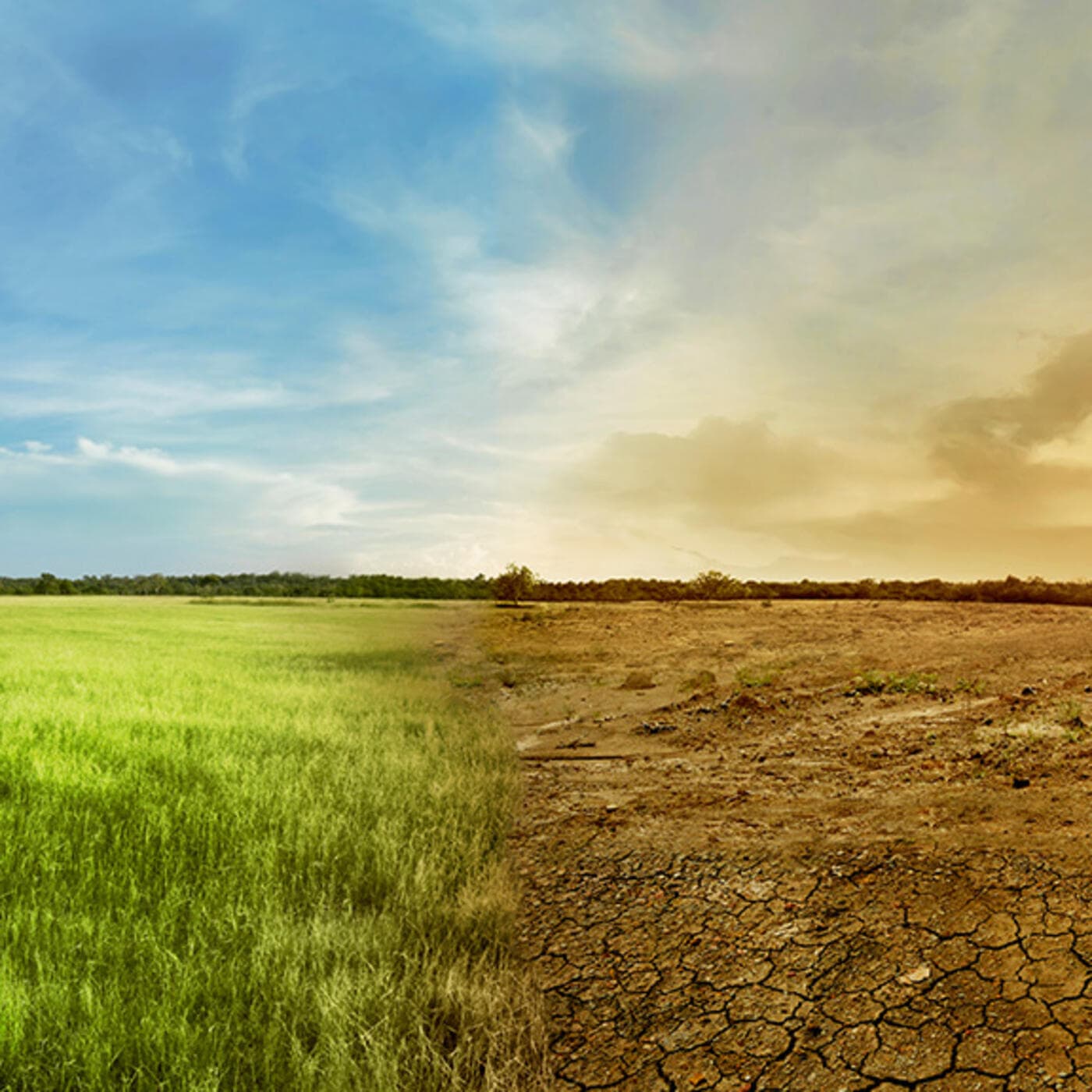 Les effets visibles du changement climatique - Podcasts