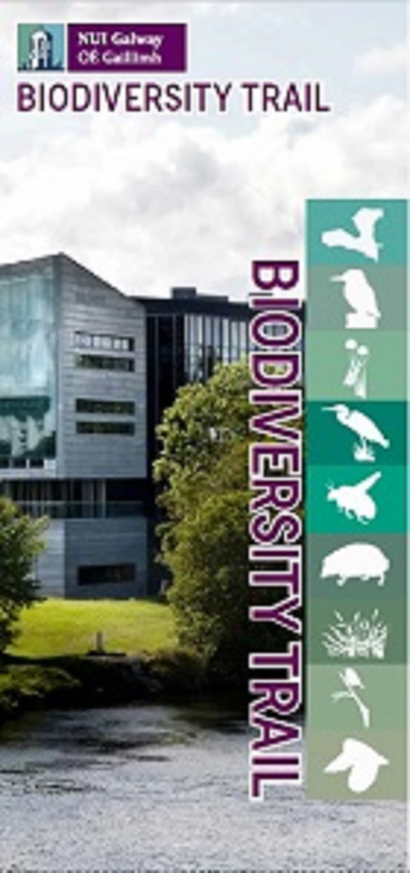 NUI Galway Biodiversity Trail - Podcasts