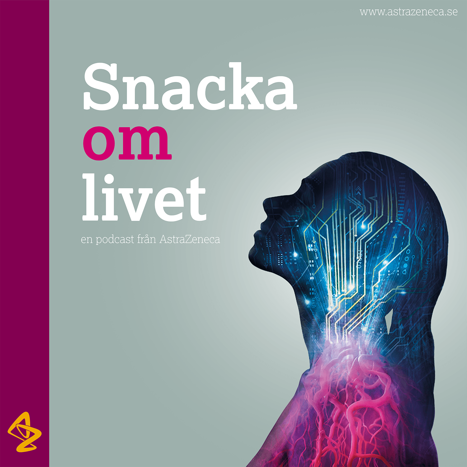 Snacka om livet - Podcasts