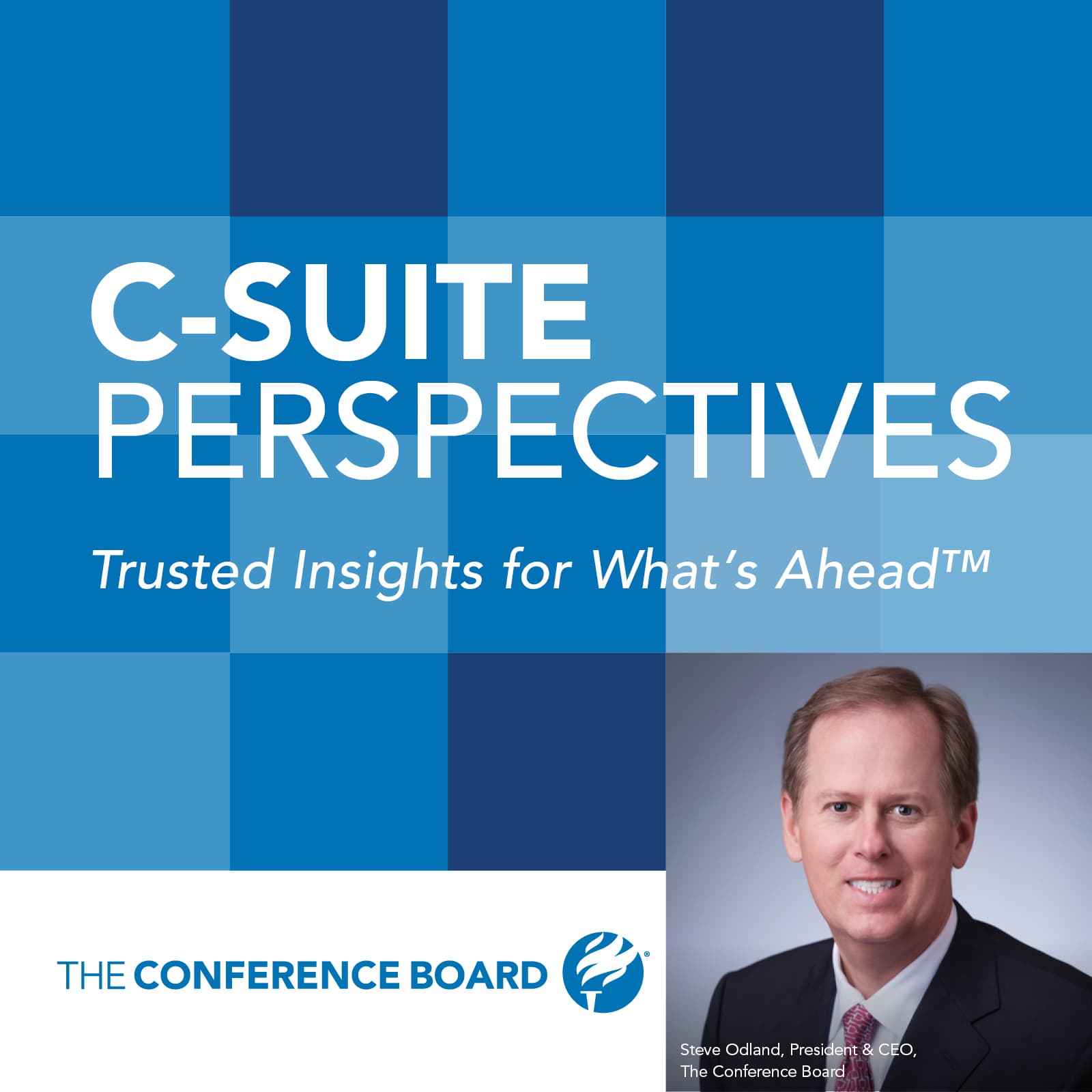 C-Suite Perspectives - Podcasts
